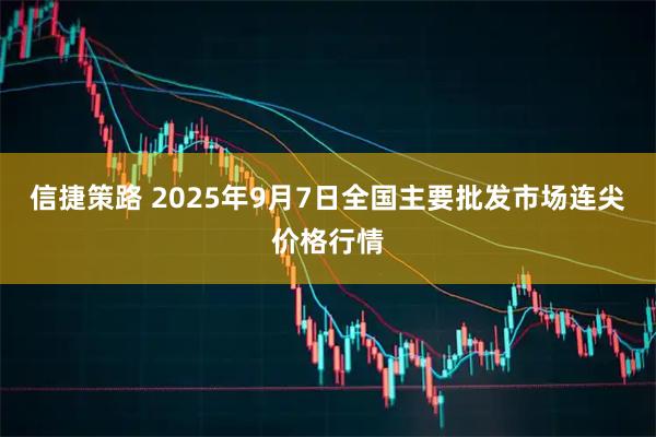 信捷策路 2025年9月7日全国主要批发市场连尖价格行情