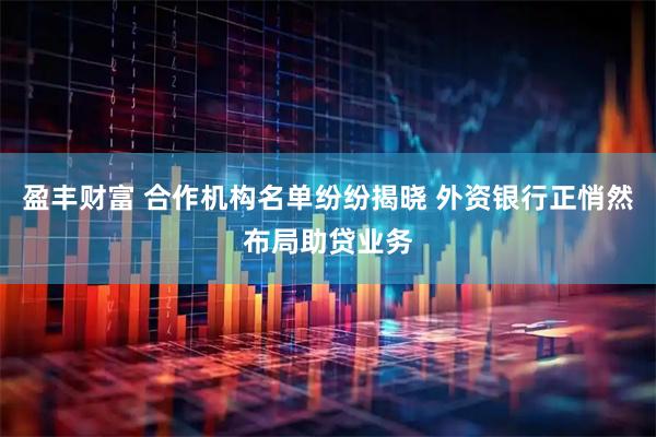 盈丰财富 合作机构名单纷纷揭晓 外资银行正悄然布局助贷业务