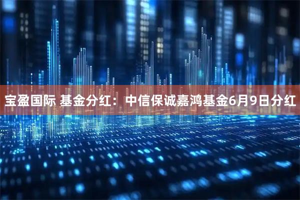 宝盈国际 基金分红：中信保诚嘉鸿基金6月9日分红