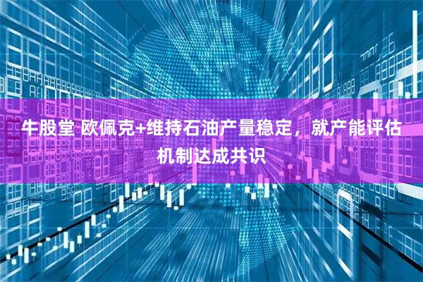 牛股堂 欧佩克+维持石油产量稳定，就产能评估机制达成共识