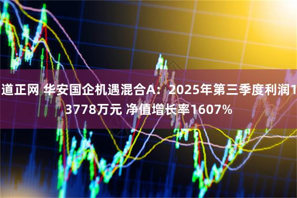 道正网 华安国企机遇混合A:2025年第三季度利润13778万元 净值增长率1607%
