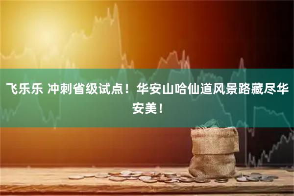 飞乐乐 冲刺省级试点！华安山哈仙道风景路藏尽华安美！